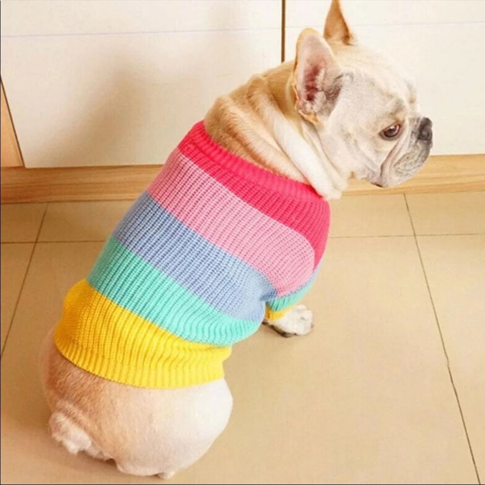 Dog Color Knit Sweater